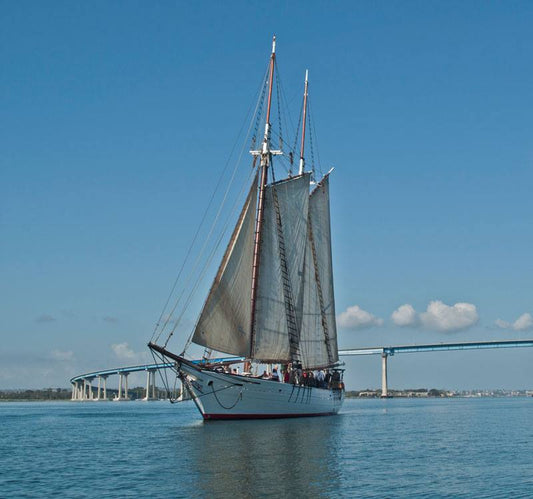 Beautiful tall ship 'Bill of Rights' floating on ocean with large circular bridge in the background.