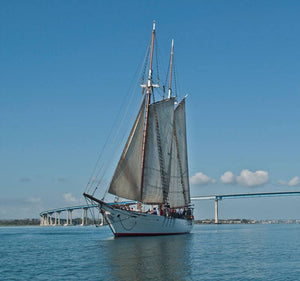 Watt-a-Light Spotlight:  San Diego's historic tall ship 'Bill of Rights'