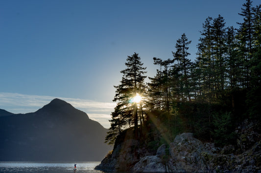 sunrise through trees