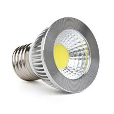 Par 30 5 Watt LED Pot Light E26 32V DC - Watt-a-Light